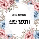 히즈윌젭스홈스쿨 | 2023년 샬롯지혜 플젝 안내입니다!!^^