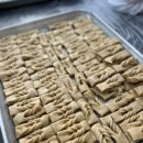 민족사관유치원 이미지