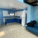 아모르 루시 이미지