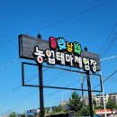 새롬유치원 | 일산체험장 들락날락체험장 가을운동회 이야기
