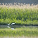 도촌 2농장 이미지