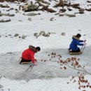 평창자연속쉼표 이미지