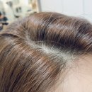 한번에 되지 않는 것들... / 블랑가또 코끼리인형, 아뜨랑스 블라우스, 밀크코코아 코트, 사뿐 구두, 차...