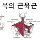 뒷골 이미지