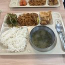 광주대학교 | AFC/KFA C급 지도자 자격증 후기 (광주대학교)