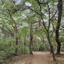 서남지 | 경주 남산 대중교통 최단코스 서남산 공영주차장 삼릉 삼불사 후기