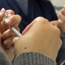 비글구조네트워크 동물메디컬센터 네이버블로그