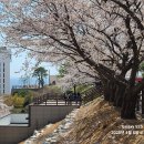 삼사해상공원(하행) 이미지