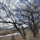 가족여행민박 이미지