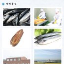 샘물수산 Daum카페