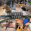 나룻배식당 | 동탄 실내동물원 주렁주렁 방문 후기ㅣ카피바라 · 할인 · 주차 · 식당 · 키즈카페 정보