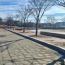 용산1리마을회관 | 경북 성주 뒷미지 공원(수변 공원)