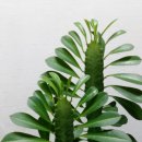 초록초록 이미지