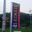 천보산농장 이미지