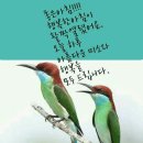 유영자 이미지