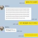 (주)우리닷컴 | 스튜디오 하(stuido ha) x 더한섬닷컴 스타일 스냅 우정 촬영 후기