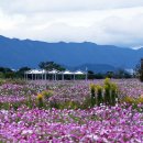 강변공원 주차장 이미지