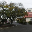 고내마을회관 이미지