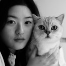 오뗄뒤샤 이미지