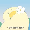 콘하스한남점 | [한남동] - 콘하스 한남점 카페후기_feat. 목련맛집