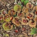 월하농장 이미지