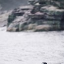 검은 수녀들 이미지