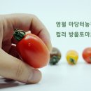 연당조전로 네이버블로그