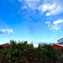 김녕안트레 이미지