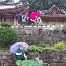 대원사 이미지