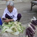 마실이야기 이미지