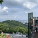 [기사]요실금 여성, 여름철엔 방광염도 자주 걸려 수술치료가 정답