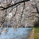 자연풍경2 이미지