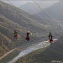 짚와이어체험장 이미지