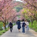 문*수 - 안양시 만안구 | 문*수