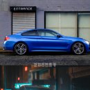 코끼리 카서비스 이미지