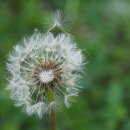 불스복싱 이미지