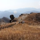 기를품은 이미지