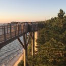 장항농장 이미지