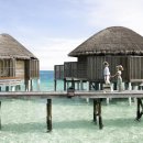 와인 소믈리에[A반] 이미지