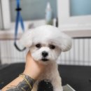 백천미용실