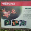 약수천 | [등산] 백암산 상왕봉 (장성)