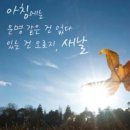2026년7월25일(토요일)[햇빛 바람이 이쁜 아침] 이미지