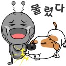 리본스테이지 이미지