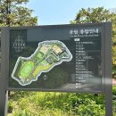 손기정체육센터 이미지