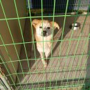 야구장앞 이미지