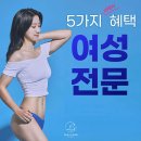 라인어클락 PT 이미지