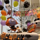 VIP동물한방재활의학센터by.Dr.신사경 이미지