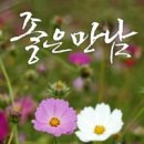 만남 Daum카페