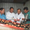 황금알 농장 이미지