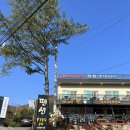 똥꼬들의 수다 이미지